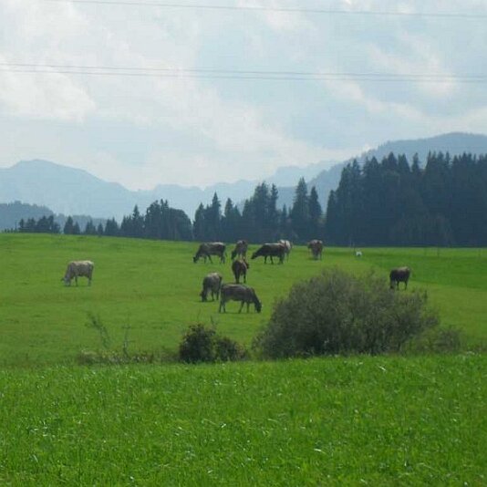 SchÃ¶nes AllgÃ¤u 3