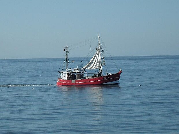 Börtebootregatta Helgoland 2010