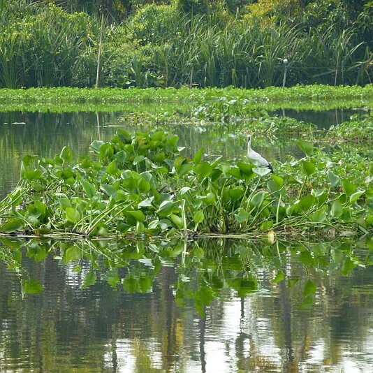 Maenam Tha Chin (Tha Chin Fluss)