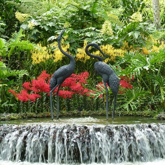 National Orchid Garden 1