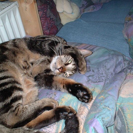 2002_0505_064022AA~1