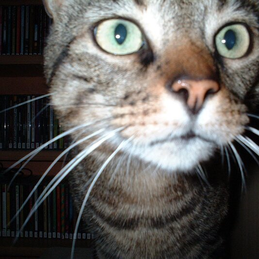 Grillabend im Juni 013