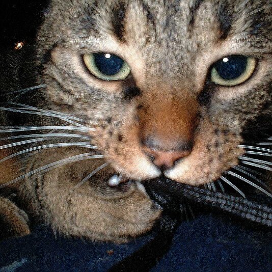 LUKAS_BEIM_SPIELEN_2~2