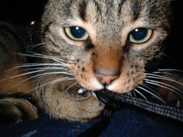 In Erinnerung an Lukas