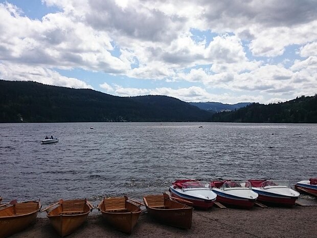 Schwarzwald Juli 2015