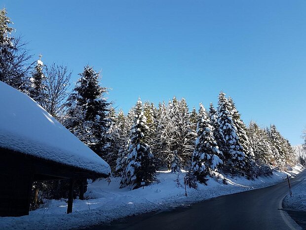 Schneeparadies Schwarzwald