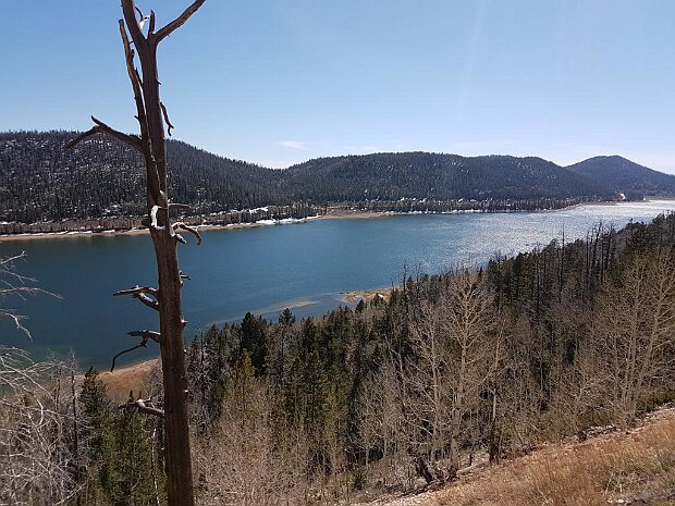 11. Dixie National Forest