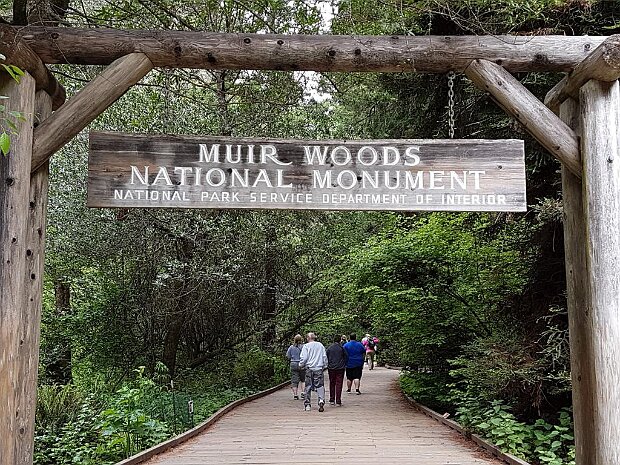 20. Muir Woods