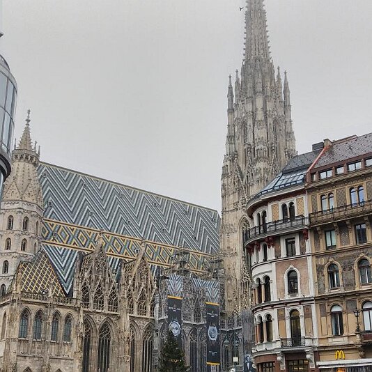 IMG_20181122_114351_HDR