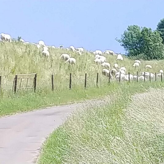 01. Bremen-Nienburg_4