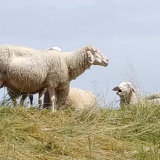 01. Bremen-Nienburg_5