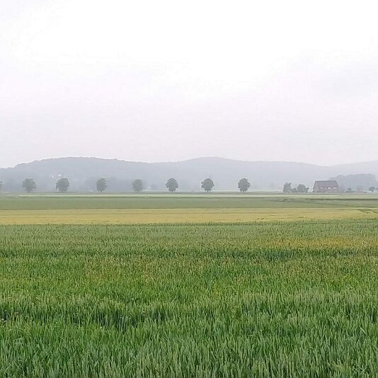 02. Nienburg-Hameln_2