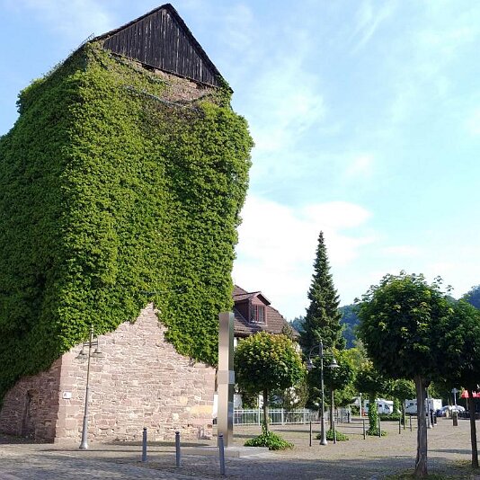 03. Hameln-Bad Karlshafen_7