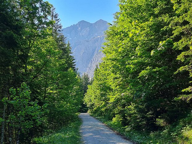 Wanderung zur Karwendel Seilbahn-Bergstation Wanderung zur Karwendelbahn Bergstation (2300 Meter)