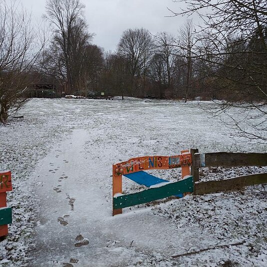 20210129_093854 Freitagmorgen, der erste Schnee.