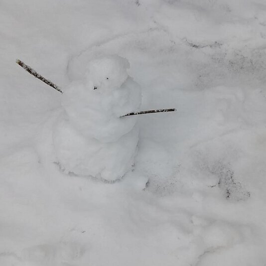 20210129_153951 Der erste Schneemann
