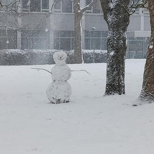 20210129_154342 An jeder Ecke Schneemänner.