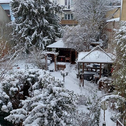 20210130_081635 Der Garten ist schön verschneit.
