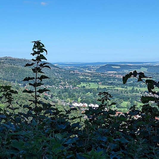 PXL_20230811_080434768