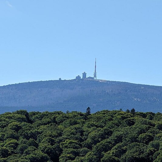 PXL_20230811_082252602