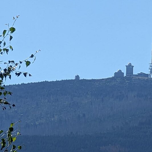 PXL_20230811_083525020