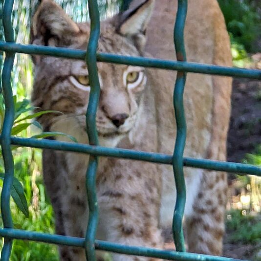 PXL_20230811_085950001