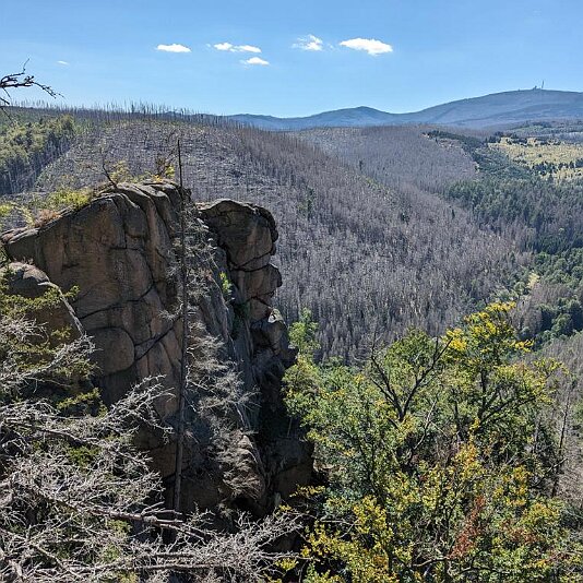 PXL_20230811_095204775