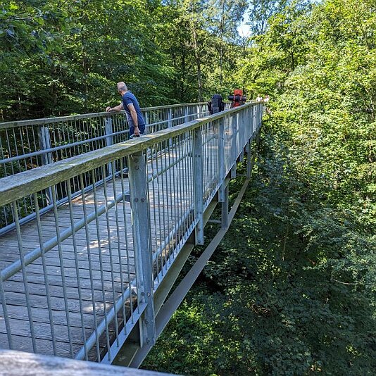 PXL_20230811_104603529