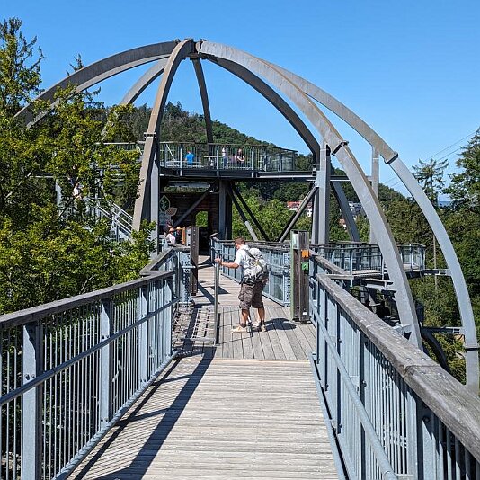 PXL_20230811_105523383