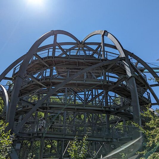 PXL_20230811_110454122