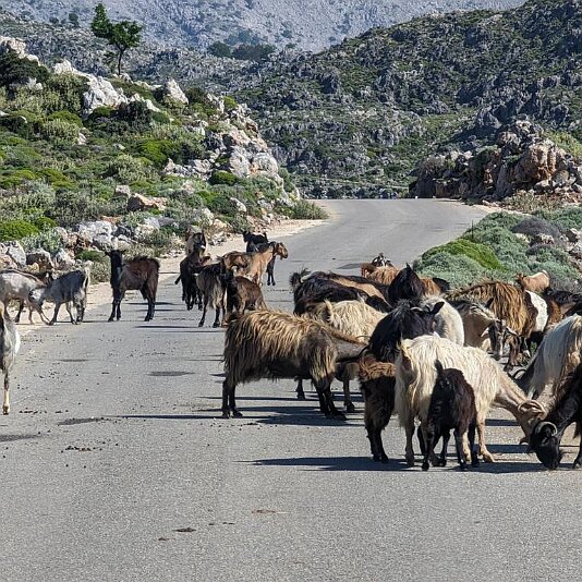 PXL_20230605_062817386