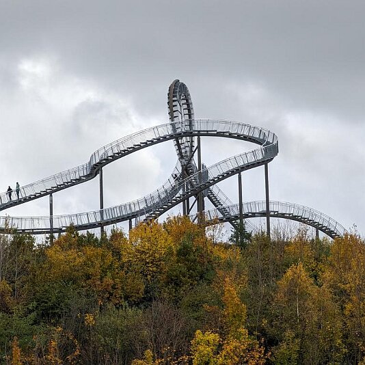 PXL_20231120_131559357