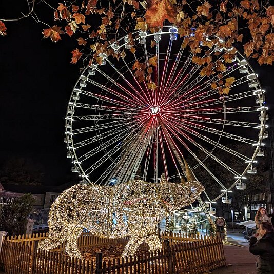 PXL_20231120_173534327