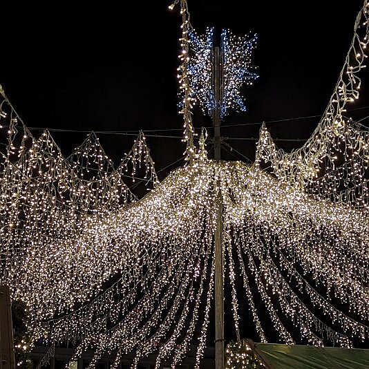 PXL_20231120_180530764