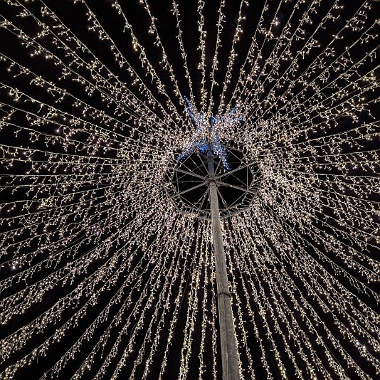 PXL_20231120_180748826