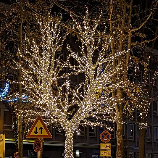 PXL_20231120_182829455