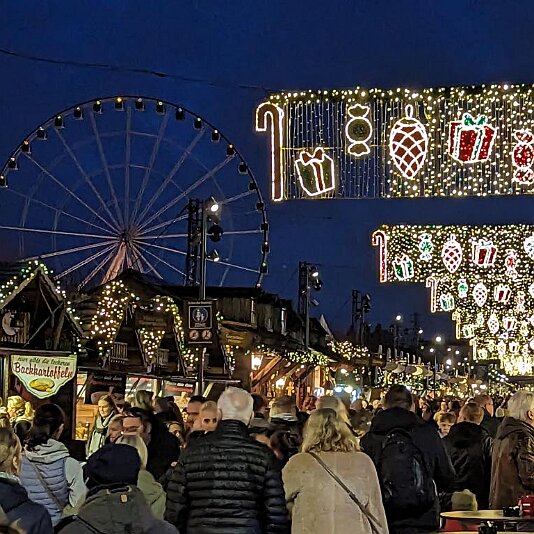 PXL_20231120_161434020