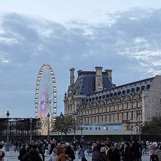 PXL_20231203_155549057