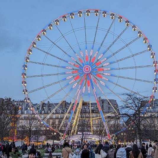 PXL_20231203_160637643