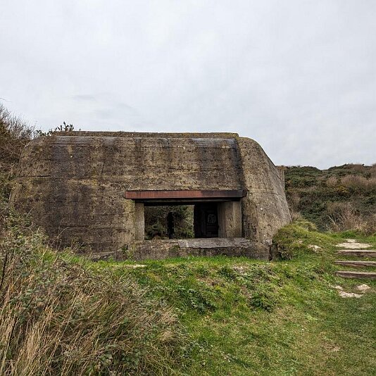 PXL_20231207_102820792