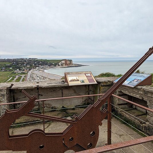 PXL_20231207_103139534