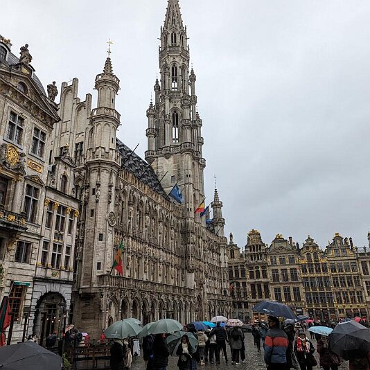 PXL_20231209_122246133