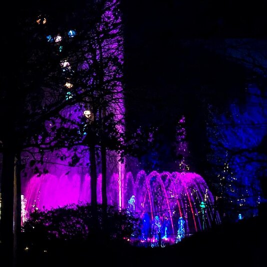 PXL_20231210_163703427