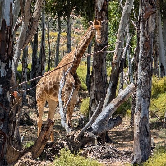 PXL_20241127_141015750