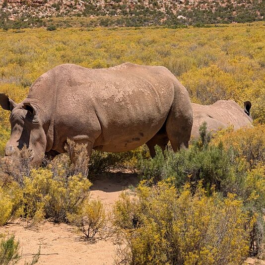 PXL_20241127_142517133