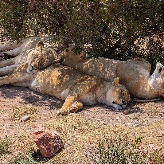 PXL_20241127_150825348