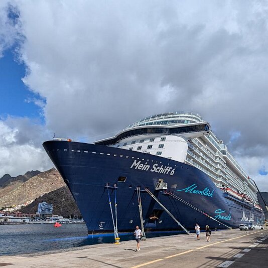 PXL_20241113_112639164