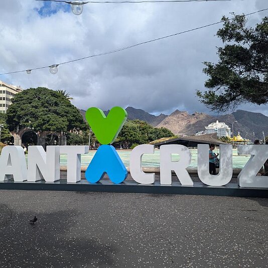 PXL_20241113_115206947