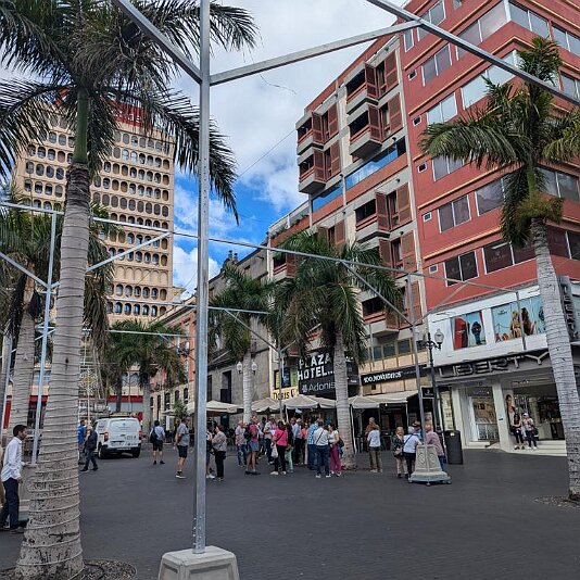 PXL_20241113_115347149