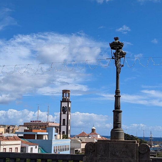 PXL_20241113_125216023